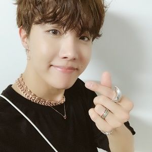 Meet your Posher, Molly